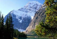 足球直播吧-欧冠淘汰赛焦点战，尼日利亚轻取那不勒斯，非洲雄鹰展翅欧洲之巅