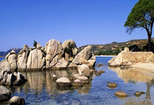 体育直播-逆转与争冠，体育世界里的唯一性